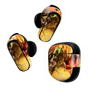 Bose QuietComfort Earbuds II 用 スキンシール ボーズ イヤバッズ2 用 ステッカー 本体3セット ケース1セット 保護 フィルム ...