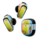Bose QuietComfort Earbuds II 用 スキンシール ボーズ イヤバッズ2 用 ステッカー 本体3セット ケース1セット 保護 フィルム デコ かき氷 夏 レインボー 025795