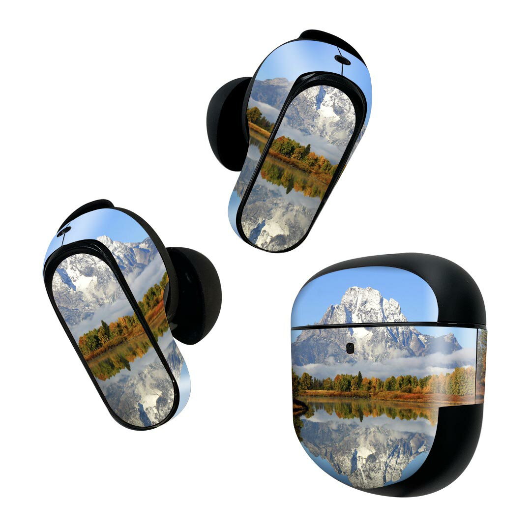 Bose QuietComfort Earbuds II 用 スキンシール ボーズ イヤバッズ2 用　ステッカー　本体3セット ケー..