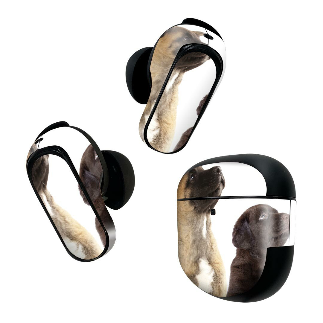 Bose QuietComfort Earbuds II 用 スキンシール ボーズ イヤバッズ2 用　ステッカ...