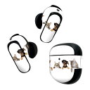 Bose QuietComfort Earbuds II 用 スキンシール ボーズ イヤバッズ2 用 ステッカー 本体3セット ケース1セット 保護 フィルム ...