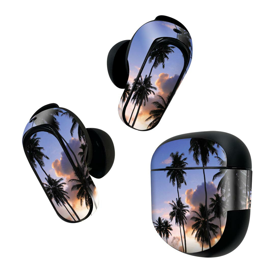 Consumable Goods, Various Parts - Bose QuietComfort Earbuds II 用 スキンシール ボーズ イヤバッズ2 用　ステッカー　本体3セット ケース1セット 保護 フィルム デコ ヤシの木　空　写真 010821
