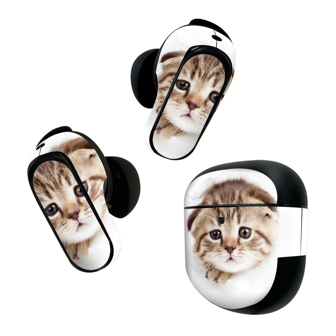 Bose QuietComfort Earbuds II 用 スキンシール ボーズ イヤバッズ2 用　ステッカー　本体3セット ケー..