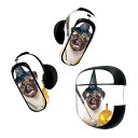 Bose QuietComfort Earbuds II 用 スキンシール ボーズ イヤバッズ2 用 ステッカー 本体3セット ケース1セット 保護 フィルム ...