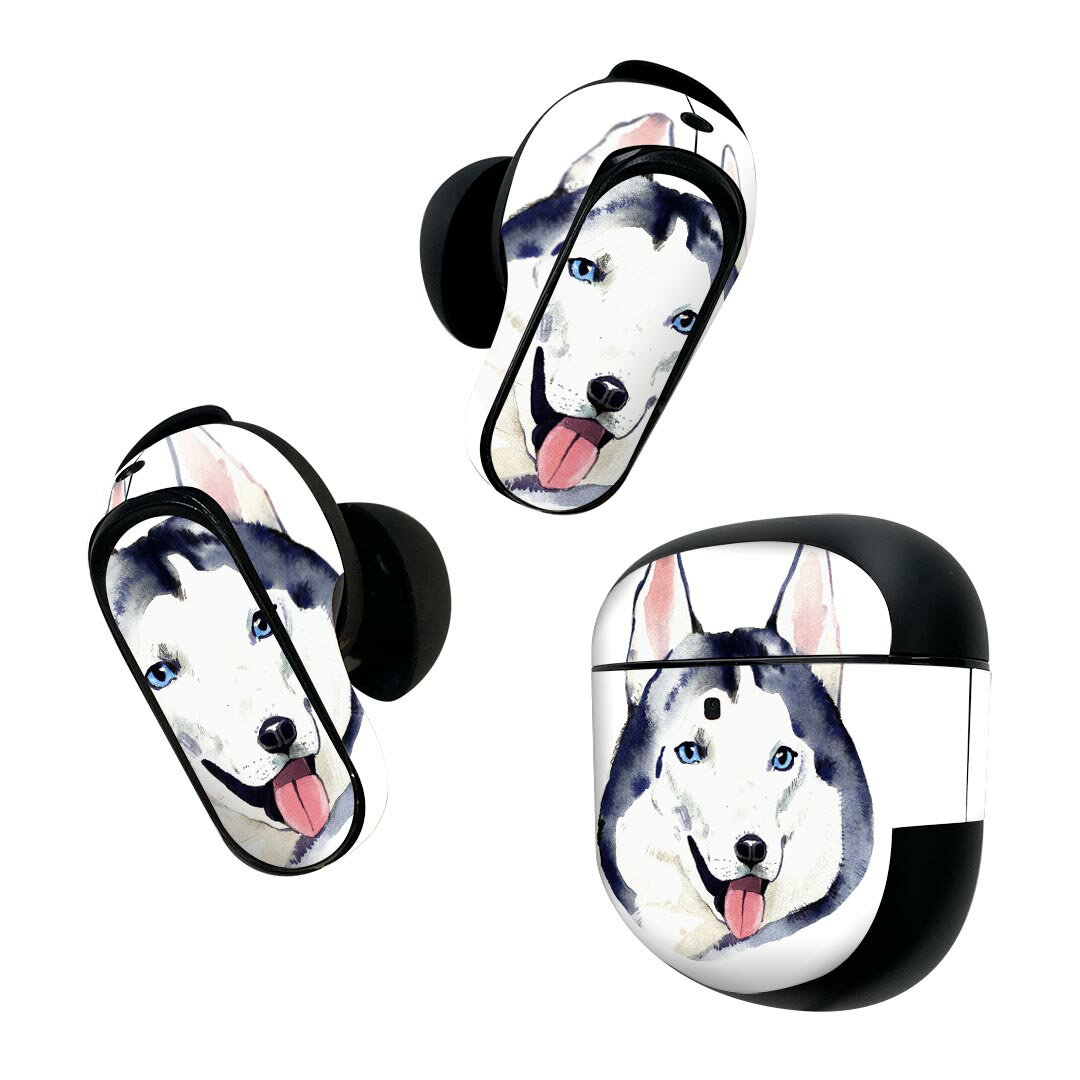 Bose QuietComfort Earbuds II 用 スキンシール ボーズ イヤバッズ2 用　ステッカー　本体3セット ケー..