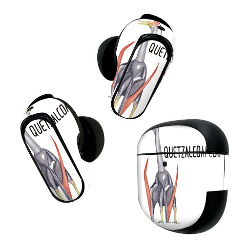 Bose QuietComfort Earbuds II 用 スキンシール ボーズ イヤバッズ2 用 ステッカー 本体3セット ケース1セット 保護 フィルム デコ 恐竜 恐竜 Quetzalcoaflus ケツァルコアトルス 019824 Bose QuietComfort Earbuds II 用 スキンシール ボーズ イヤバッズ2 用 ステッカー 本体3セット ケース1セット 保護 フィルム デコ 恐竜 恐竜 Quetzalcoaflus ケツァルコアトルス 019824