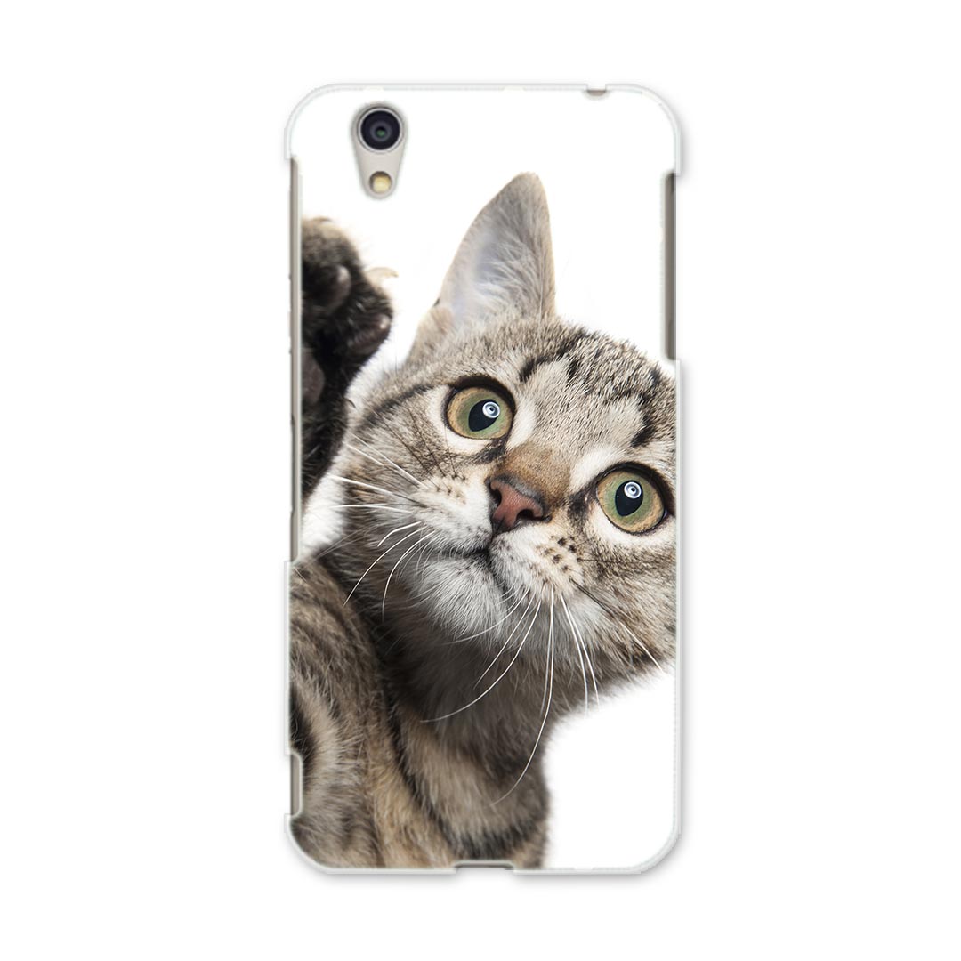 DM-01J AQUOS Disney Mobile docomo ドコモ dm01j スマホ カバー ケース スマホケース スマホカバー PC ハードケース 002674 猫　動物　写真