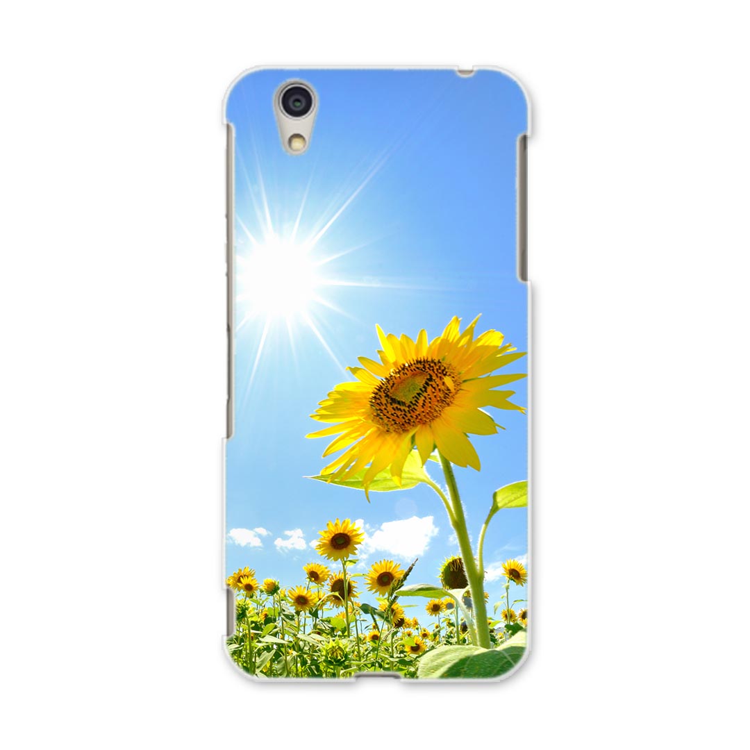 DM-01J AQUOS Disney Mobile docomo ドコモ dm01j スマホ カバー ケース スマホケース スマホカバー PC ハードケース 005089 ひまわり　写真　太陽