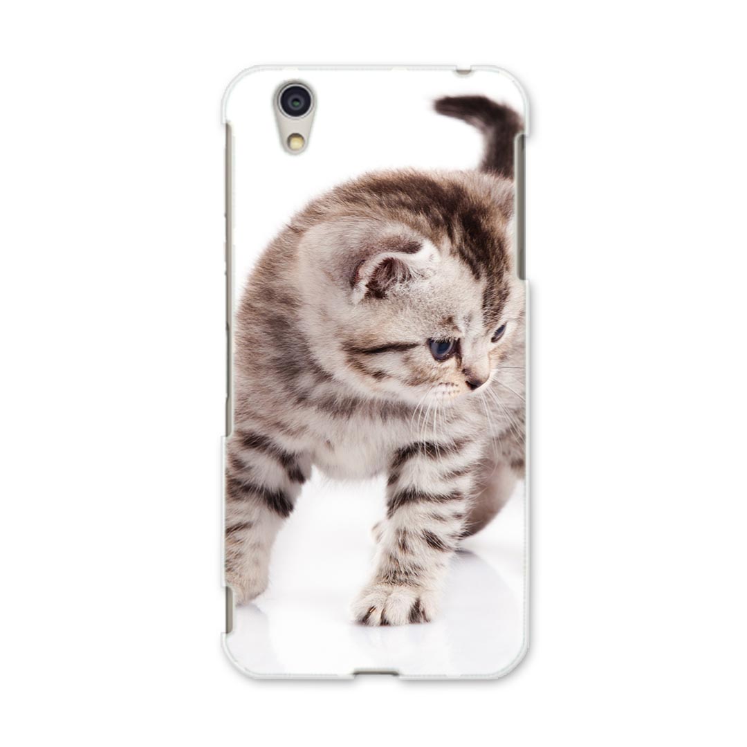 DM-01J AQUOS Disney Mobile docomo ドコモ dm01j スマホ カバー ケース スマホケース スマホカバー PC ハードケース 006228 写真　ネコ　ねこ