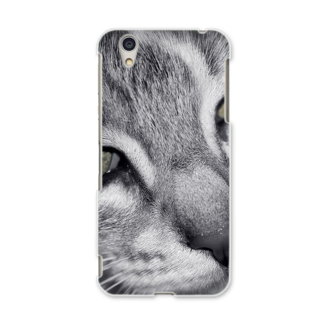 DM-01J AQUOS Disney Mobile docomo ドコモ dm01j スマホ カバー ケース スマホケース スマホカバー PC ハードケース 007896 写真　猫　ねこ　モノクロ