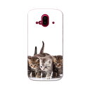 らくらくスマートフォン F-52B tpu f52b スマホ カバー ケース スマホケース スマホカバー TPU ソフトケース 005928 アニマル 写真 動物 猫 ねこ(2)