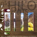 glo HILO plus 専用 デザインスキンシール 全面 2枚セットフルセット カバー ケー...