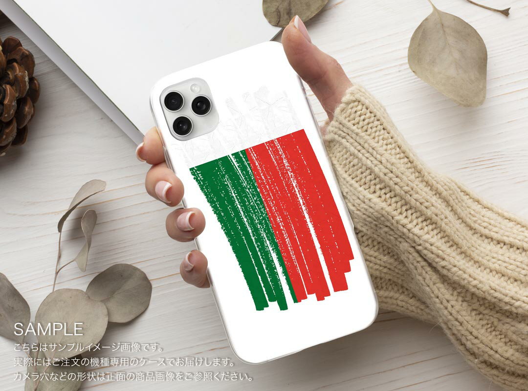 Google Pixel 9a 用 ケース 6.3インチ ハードケース pixel 9a 対応 ケース カバー 018497 madagascar マダガスカル