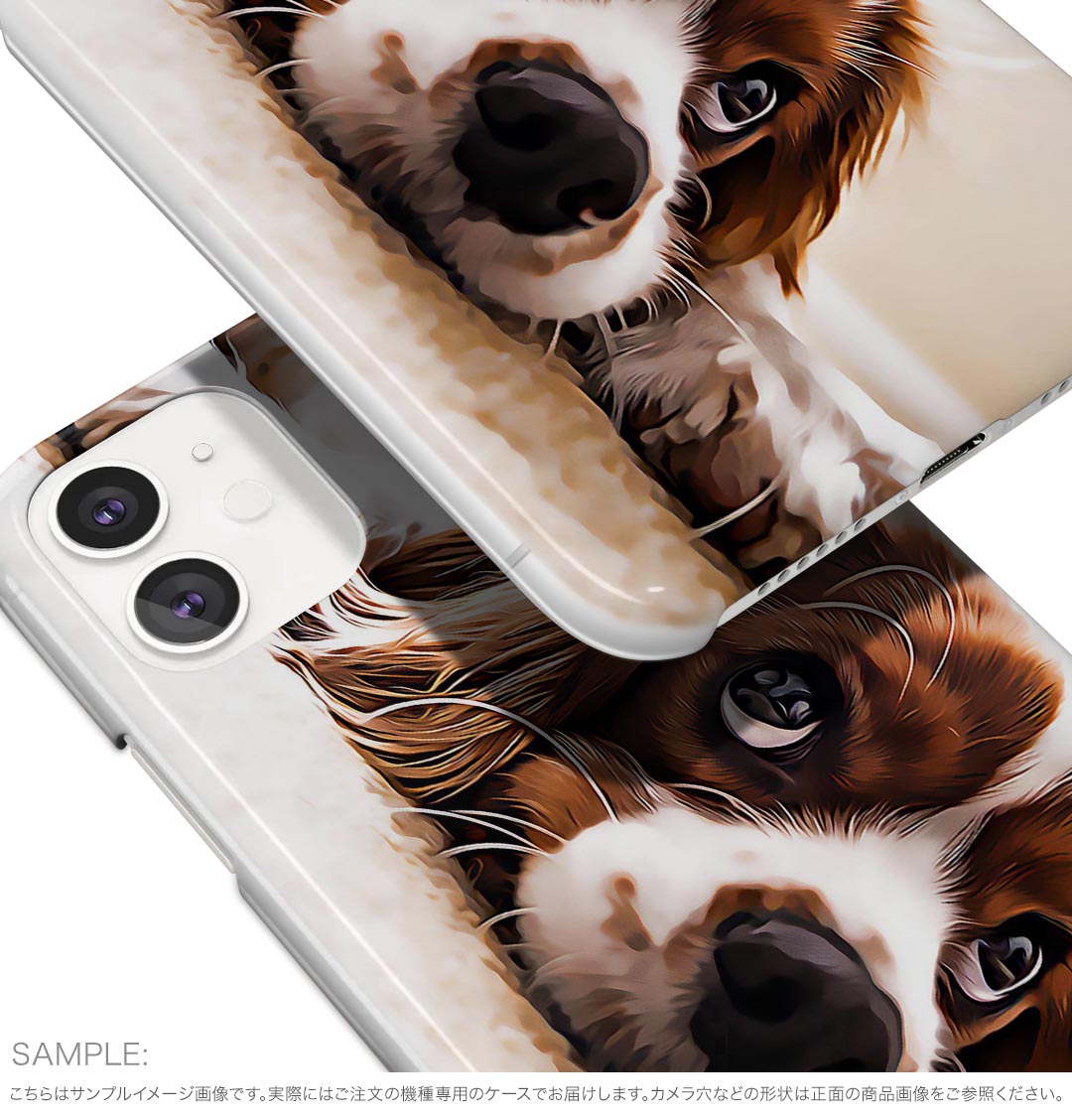 Google Pixel 9a 用 ケース 6.3インチ ハードケース pixel 9a 対応 ケース カバー 022868 犬　写真