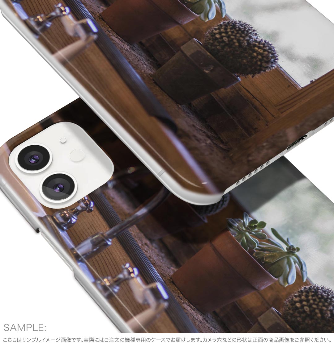 arrows We2 Plus F-51E 用 ハード ケース f51e 対応 ケース カバー ハードケース 023053 サボテン　植物　写真