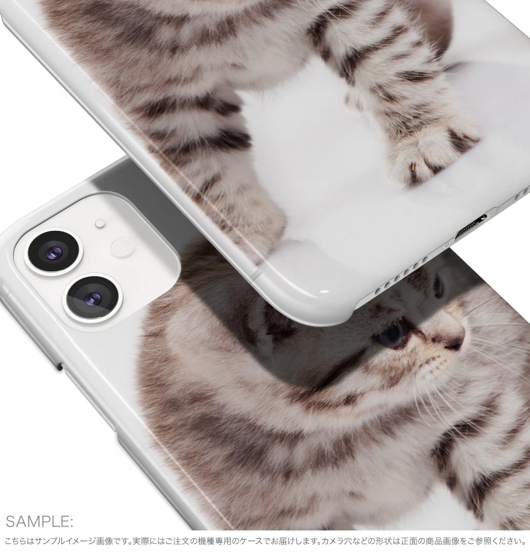 AQUOS R10 用 スマホケース SH-51F / A501SH / SH-M31 共通対応 sh51f ケース カバー ハードケース 006228 写真　ネコ　ねこ