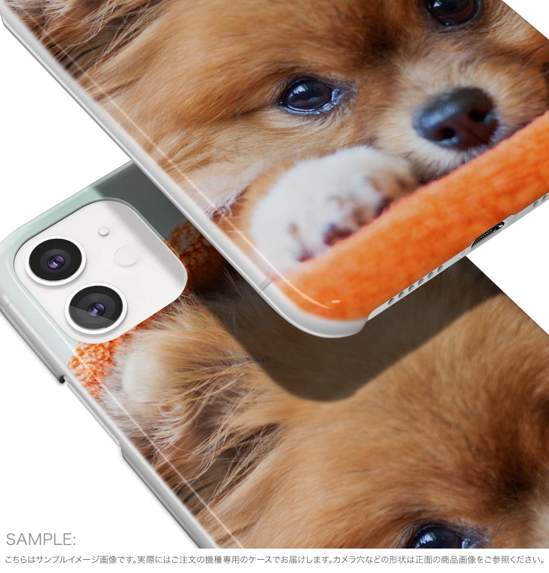 Google Pixel 9a 用 ケース 6.3インチ ハードケース pixel 9a 対応 ケース カバー 008644 犬　写真　オレンジ