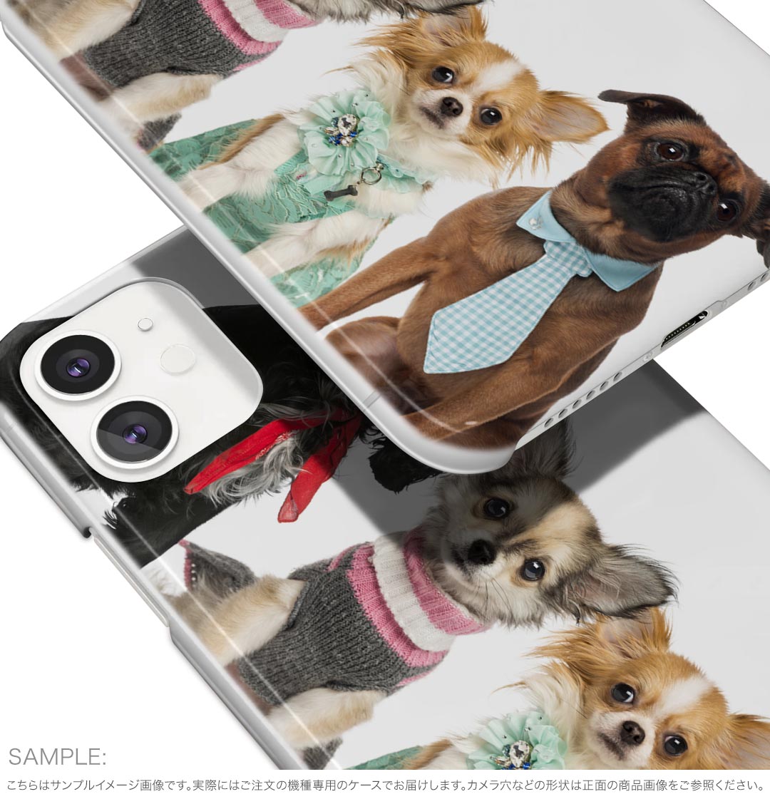 arrows We2 F-52E 用 ハードケース F-52E / FCG02 共通対応 ハード ケース f52e 対応 ケース カバー 009810 動物　犬　写真