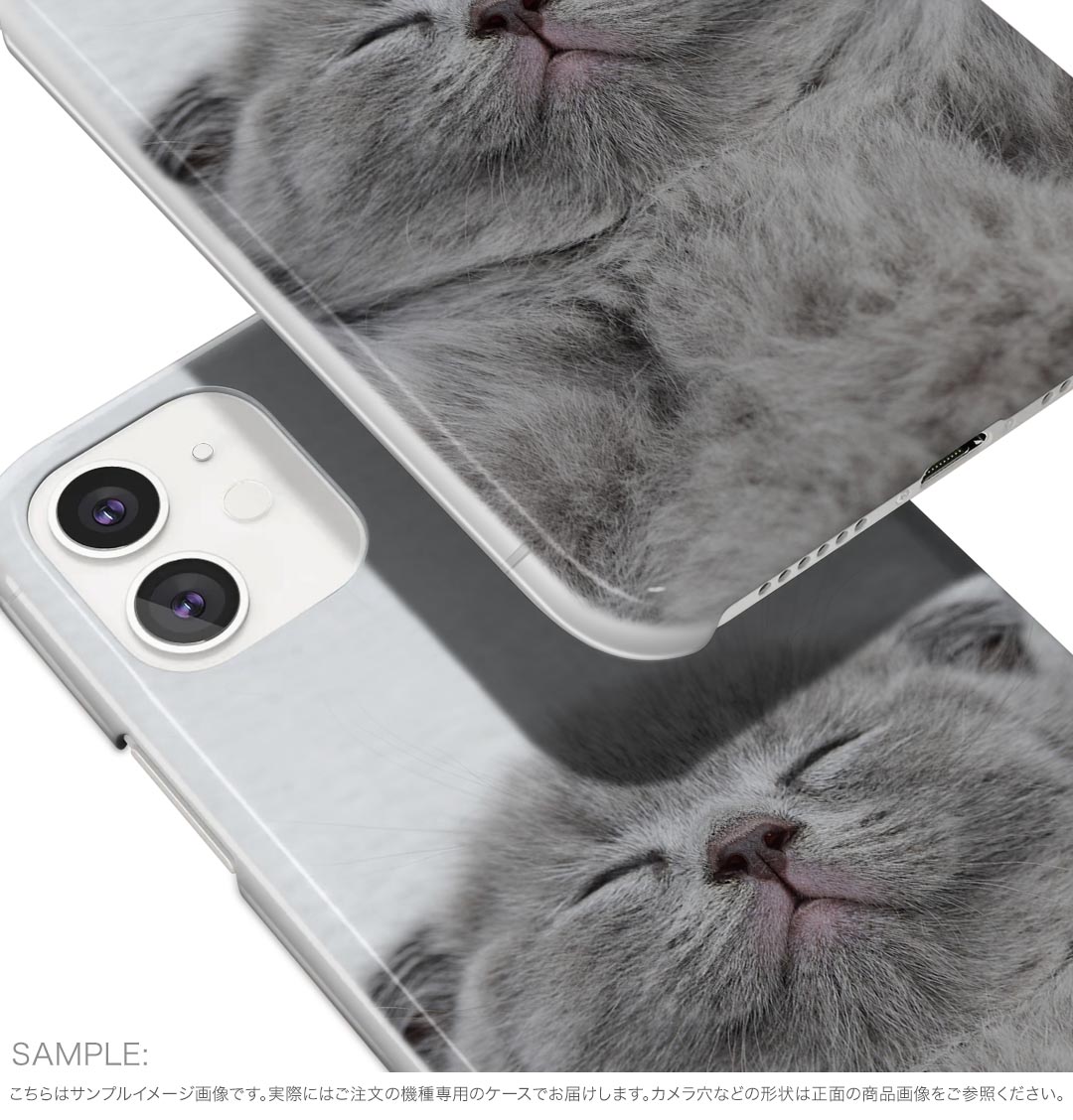 AQUOS wish4 用 ハードケース SH-52E / A402SH 共通対応 ハード ケース sh52e 対応 ケース カバー 011682 猫　動物　写真