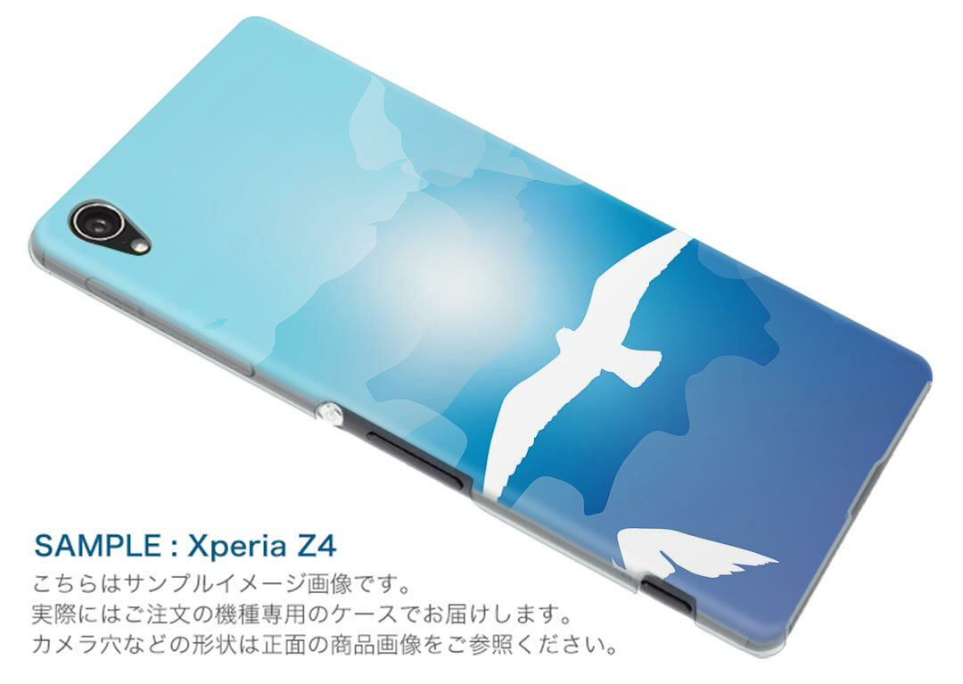 KYV40 rafre ラフレ kyv40 au エーユー スマホ ケース スマホカバー PC ハードケース 空　鳥 アニマル 001140