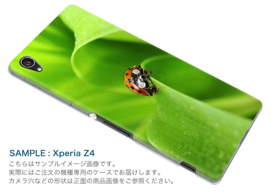 SO-03G Xperia Z4 エクスペリア so03g docomo ドコモ スマホ カバー スマホケース スマホカバー TPU ソフトケース てんとう虫 草 アニマル 001144