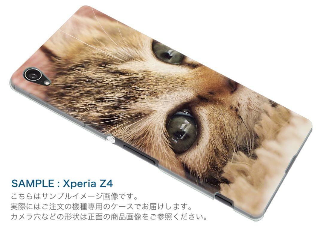 iPhone6plus iPhone6 plus アイフォーン APPLE softbank ソフトバンク スマホ カバー ケース スマホケース スマホカバー TPU ソフトケース ネコ　動物 アニマル 001172