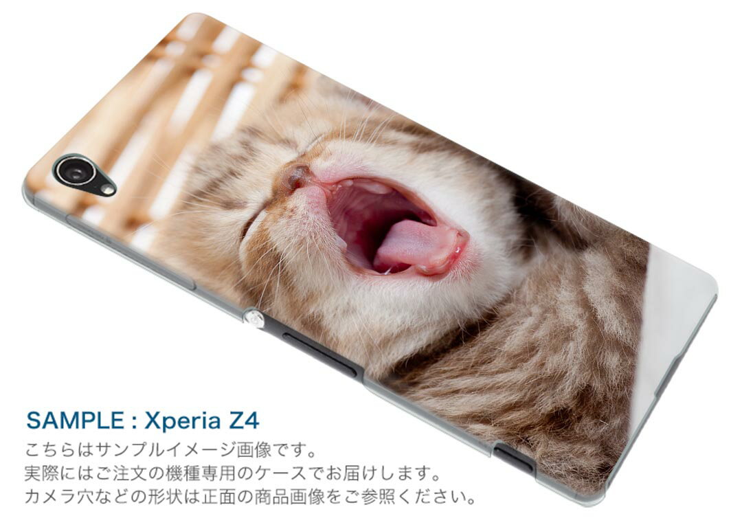 iPhone6plus iPhone6 plus アイフォーン APPLE softbank ソフトバンク スマホ カバー ケース スマホケース スマホカバー TPU ソフトケース ネコ　動物 アニマル 001173