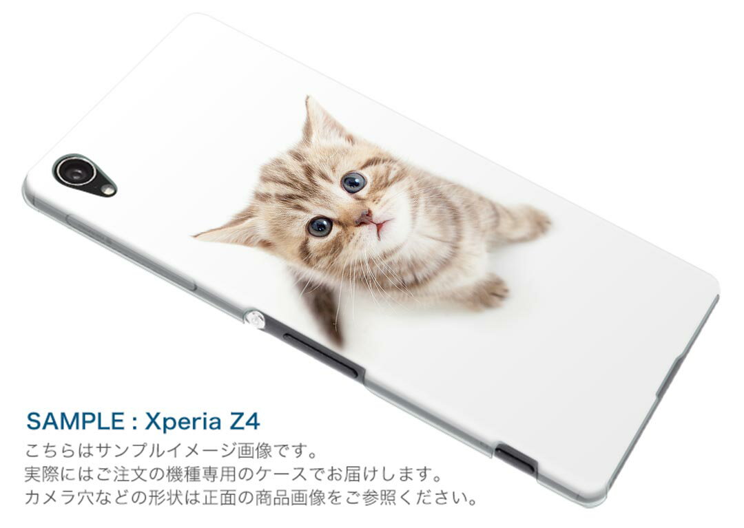 iphone6plus iPhone6s plus アイフォーン APPLE softbank ソフトバンク スマホ カバー ケース スマホケース スマホカバー PC ハードケース ネコ　動物 アニマル 001194