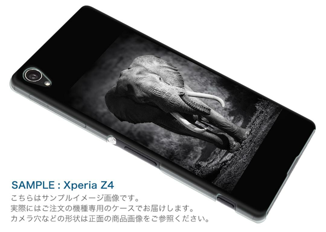 F-03H arrows SV アローズ f03h docomo ドコモ スマホ カバー ケース スマホケース スマホカバー PC ハードケース ゾウ　動物　モノクロ アニマル 001211