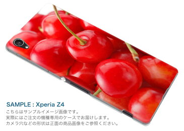 F-02L arrows Be3 アローズ ビースリー f02l docomo ドコモ スマホ カバー ケース スマホケース スマホカバー PC ハードケース 001597 さくらんぼ　果実