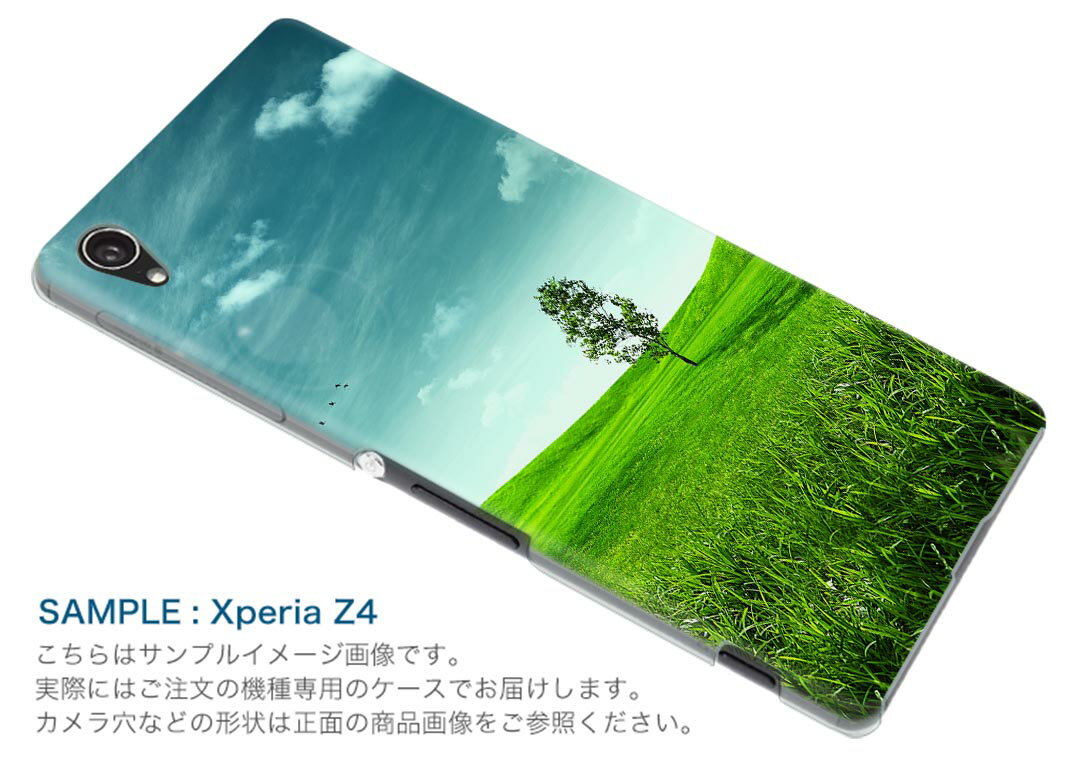Rakuten BIG s 楽天モバイル 新型スマホ スマホ カバー ケース スマホケース スマホカバー PC ハードケース 002526 景色　風景　写真