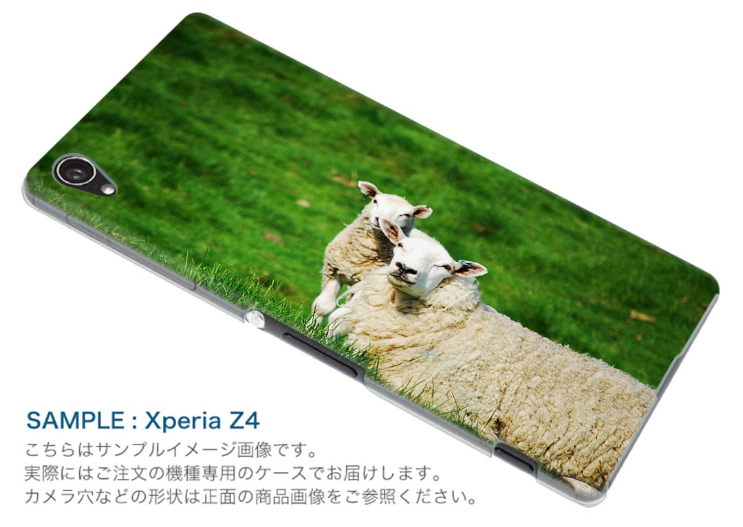 Rakuten BIG s 楽天モバイル 新型スマホ スマホ カバー ケース スマホケース スマホカバー PC ハードケース 002585 ひつじ　動物　写真