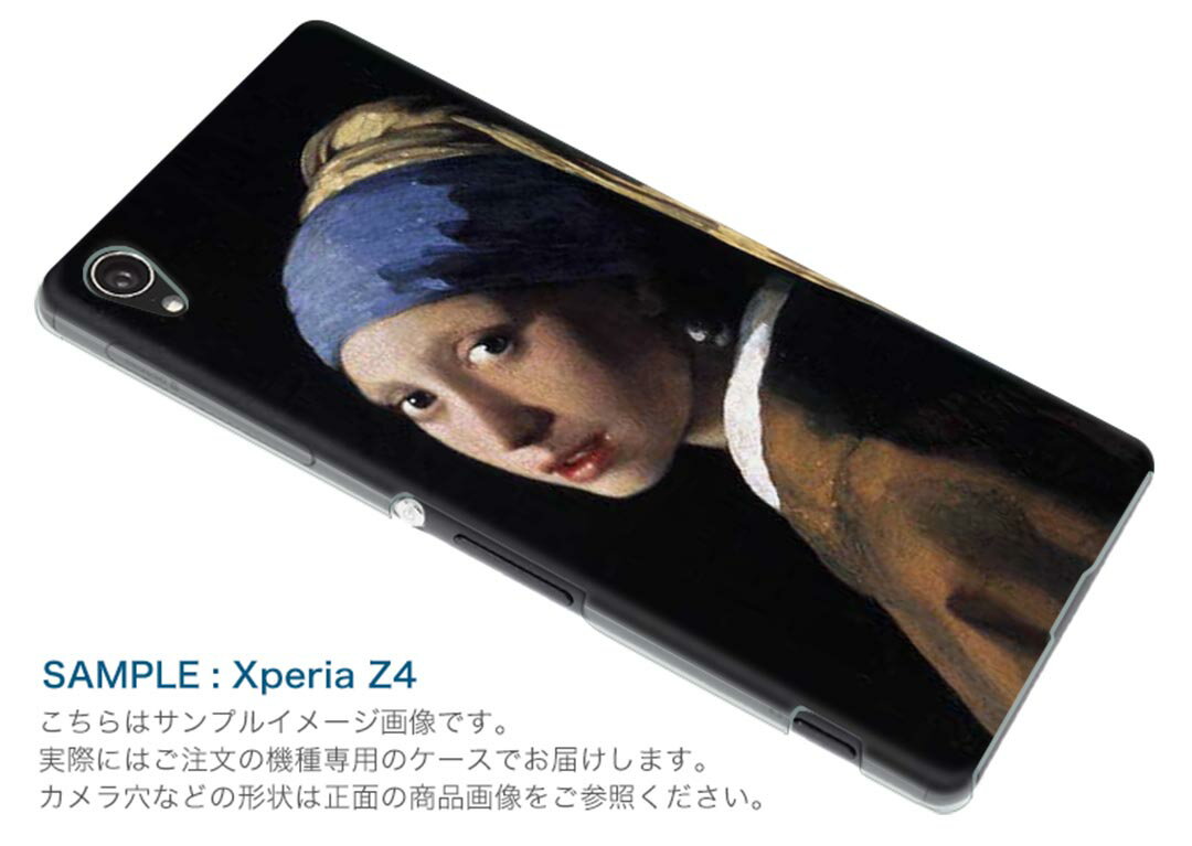 602SO Xperia XZs エクスペリアXZs softbank ソフトバンク 602so スマホ カバー ケース スマホケース スマホカバー TPU ソフトケース 003190 人物　絵画　イラスト