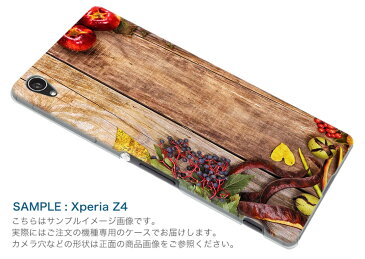 SO-02G Xperia Z3 compact エクスペリア z3 コンパクト so02g docomo ドコモ スマホ カバー ケース スマホケース スマホカバー PC ハードケース 果物 イラスト りんご フラワー 003654
