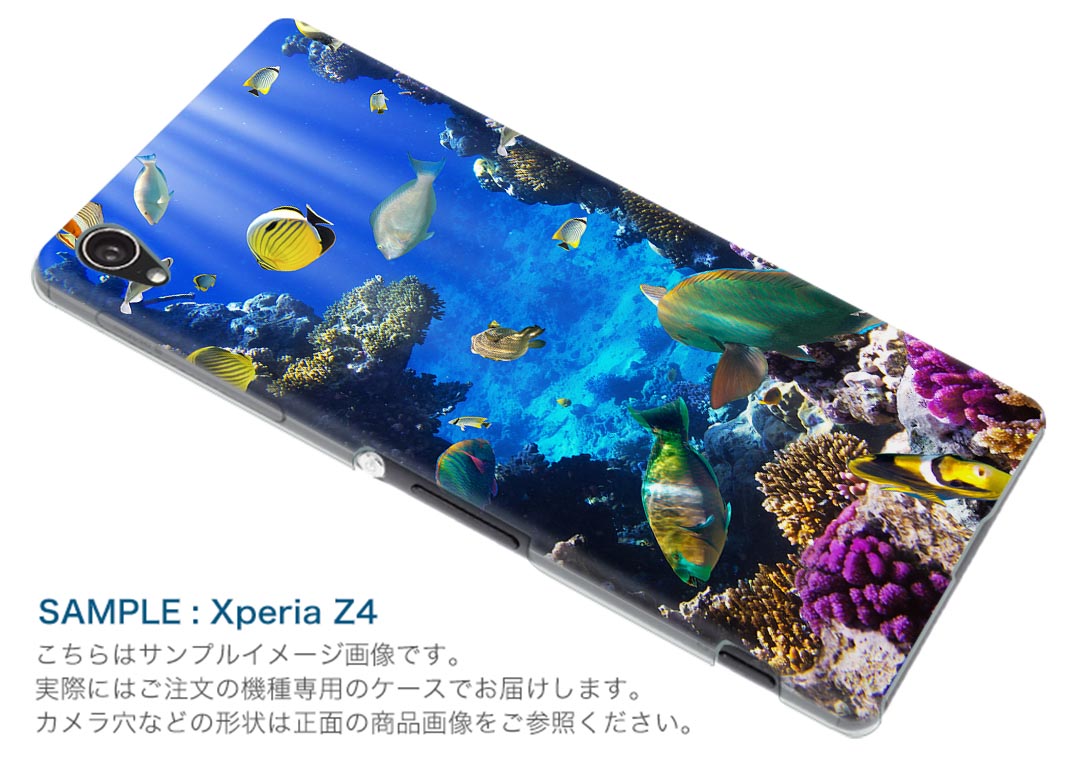 401SH simple-sumaho2 シンプルスマホ2 401sh softbank ソフトバンク スマホ カバー ケース スマホケース スマホカバー PC ハードケース 海　魚　写真 アニマル 写真・風景 004493