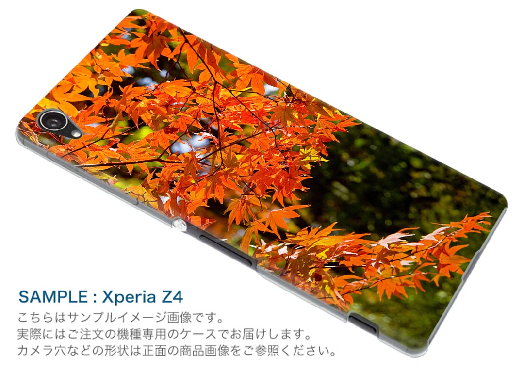 SO-03G Xperia Z4 エクスペリア so03g docomo ドコモ スマホ カバー スマホケース スマホカバー TPU ソフトケース 紅葉 秋 風景 写真・風景 004615