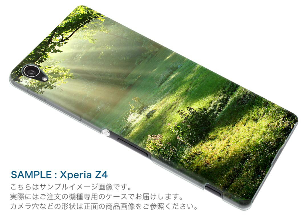 SO-01J Xperia XZ エクスペリア　XZ so01j docomo ドコモ スマホ カバー スマホケース スマホカバー PC ハードケース 森　写真　景色 写真・風景 004644