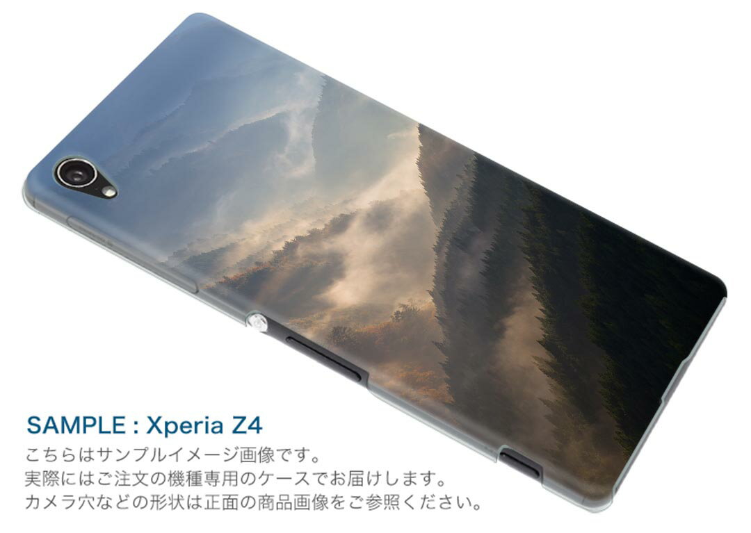 SO-05K Xperia XZ2 Compact エクスペリア エックスゼットツー コンパクト docomo so05k ドコモ スマホ カバー スマホケース スマホカバー PC ハードケース 004702 景色 風景 写真