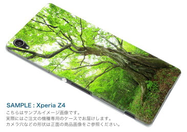 SOV32 Xperia Z5 エクスペリア au エーユー スマホ カバー スマホケース ハード pc ケース ハードケース 写真 森 植物 写真・風景 005452