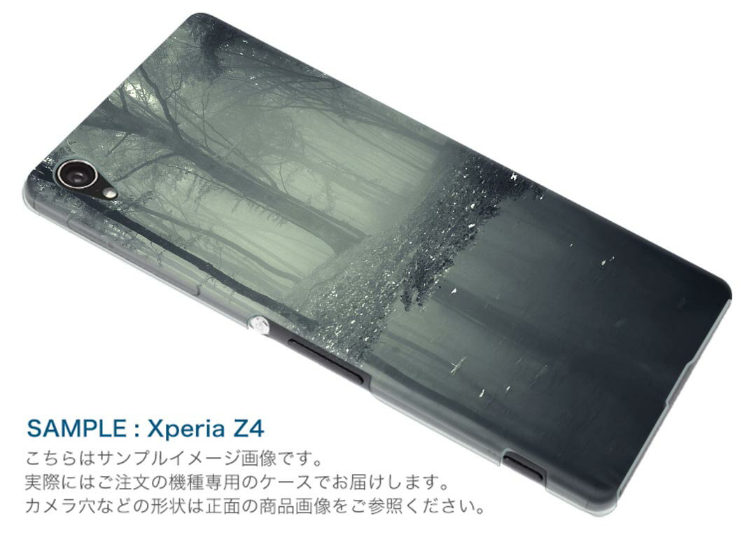 F-04J らくらくスマートフォン4 ラクラクスマートフォン f04j docomo ドコモ スマホ カバー ケース スマホケース スマホカバー PC ハードケース 写真　森　林 写真・風景 005899