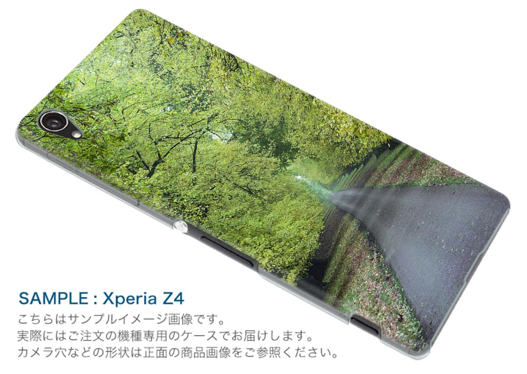 iPod touch 7(2019)/6(2015) アイポッドタッチ 第7世代 第6世代 対応 ケース スマホ カバー スマホケース スマホカバー PC ハードケース 005917 写真　並木道