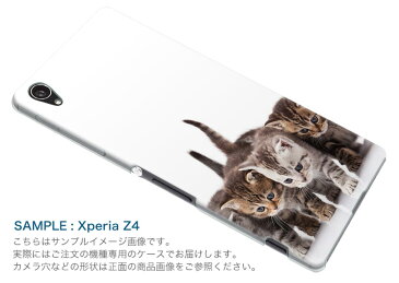 AQUOS L UQ mobile AQUOSL simfree SIMフリー スマホ カバー スマホケース ハード pc ケース ハードケース 写真　動物　猫　ねこ アニマル 写真・風景 005928