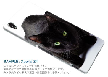 SO-04J Xperia XZ Premium エクスペリア XZ プレミアム so04j docomo ドコモ スマホ カバー スマホケース スマホカバー PC ハードケース 写真 動物 ねこ 猫 写真・風景 アニマル 005958