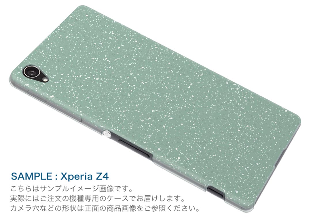 SCG10 サムスン Galaxy S21+ 5G ギャラクシー スマホ カバー ケース スマホケース スマホカバー PC ハードケース 050092