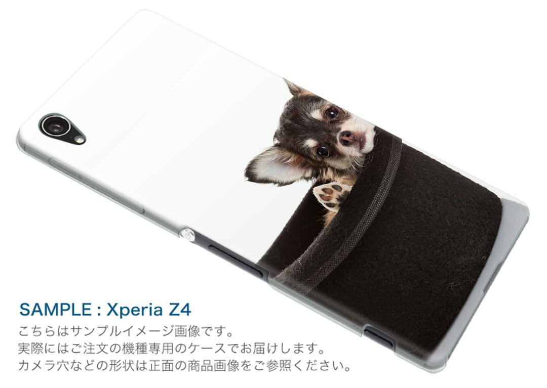 701SH AQUOS R Compact アクオス アール コンパクト スマホ カバー ケース スマホケース スマホカバー PC ハードケース #ジャンル 写真　犬　動物 006481