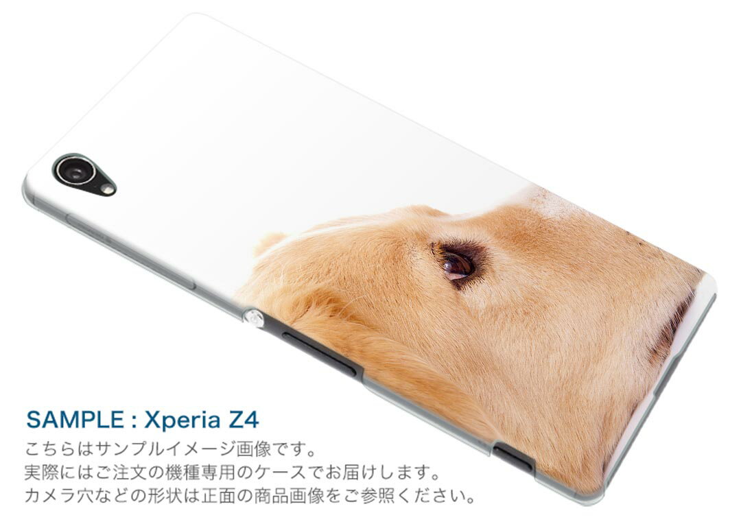 LGV33 Qua phone PX キュア フォン px lgv33 au エーユー スマホ カバー スマホケース スマホカバー PC ハードケース 写真　犬　動物 写真・風景 006630