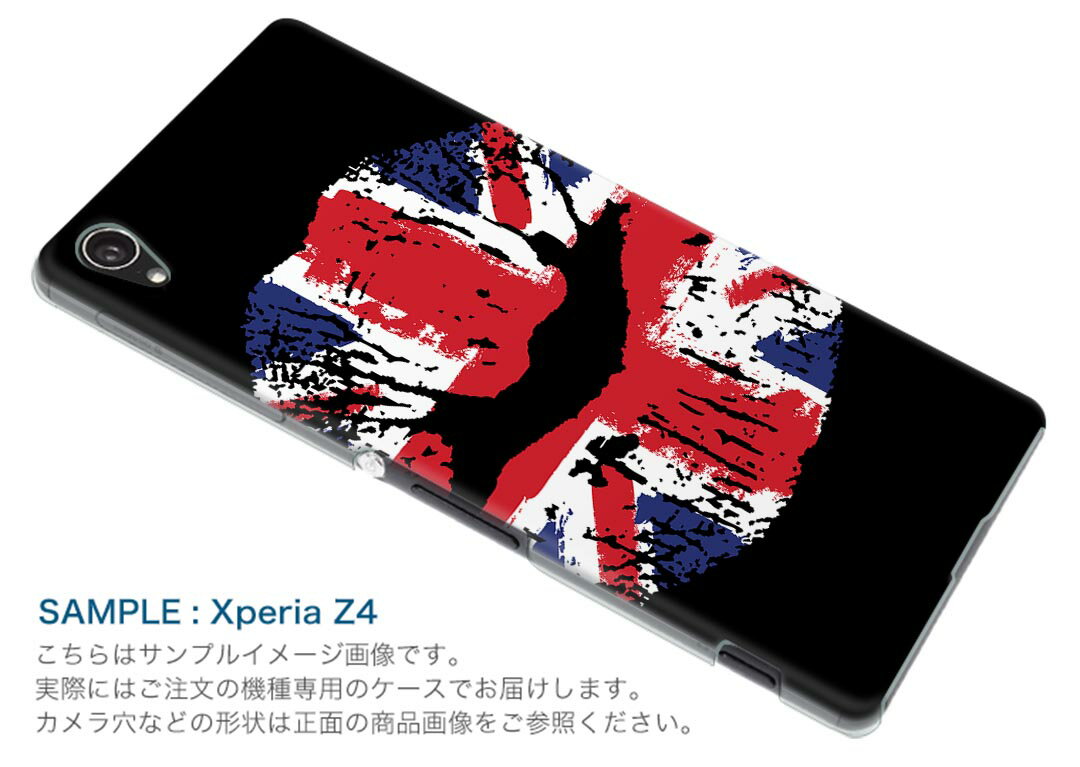 DM-02H Disney Mobile ディズニーモバイル dm02h docomo ドコモ スマホ カバー ケース スマホケース スマホカバー PC ハードケース 唇　国旗　黒　ブラック ユニーク 007311