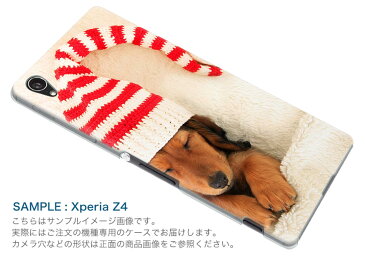 DM-02H Disney Mobile ディズニーモバイル dm02h docomo ドコモ スマホ カバー ケース スマホケース スマホカバー PC ハードケース 写真 犬 帽子 赤 レッド アニマル 008439