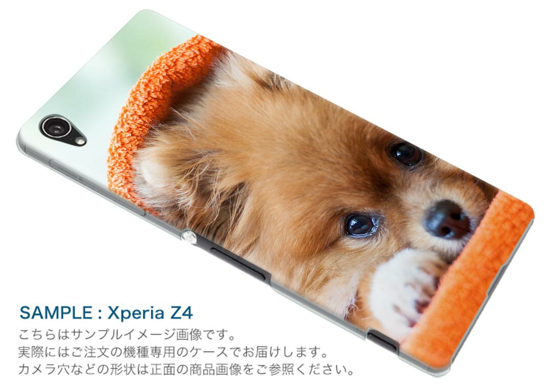 SCG10 サムスン Galaxy S21+ 5G ギャラクシー スマホ カバー ケース スマホケース スマホカバー PC ハードケース 008644 犬　写真　オレンジ