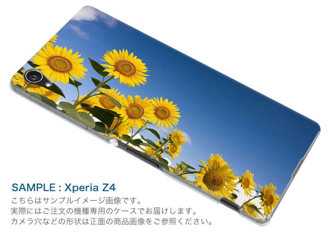 Rakuten BIG s 楽天モバイル 新型スマホ スマホ カバー ケース スマホケース スマホカバー PC ハードケース 009265 フラワー　ひまわり　写真